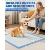 image100Pack XLarge Puppy Pads  34 x 28 Pee Pads for Dogs Potty Training with LeakProof QuickDry Design 6Layer Wee Wee Pads for Dogs BlueBlue