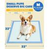 image100Pack XLarge Puppy Pads  34 x 28 Pee Pads for Dogs Potty Training with LeakProof QuickDry Design 6Layer Wee Wee Pads for Dogs BlueBlue